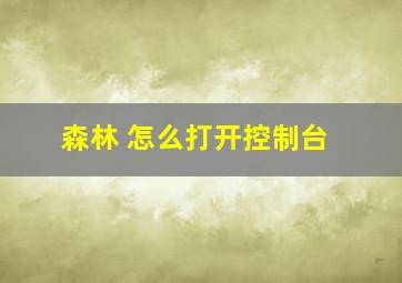 森林 怎么打开控制台